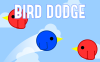 躲避小鸟