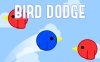 躲避小鸟