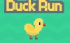 鸭子快跑