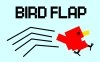 拍打这只鸟