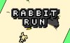 兔子快跑