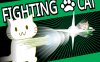 猫猫格斗