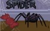 蜘蛛